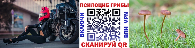 Галлюциногенные грибы Cubensis  Буинск 